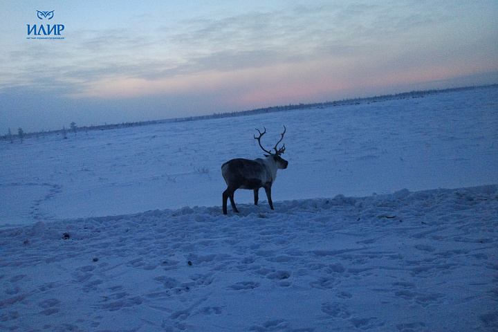 2018 - Охрана объектов в г. Салехард ЯНАО