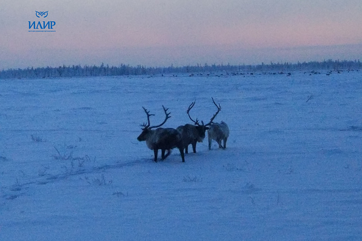 2018 - Охрана объектов в г. Салехард ЯНАО